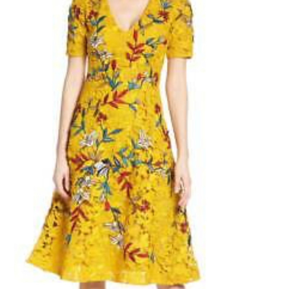 SACHIN & BABI Floral Embroidery Dress Sz. 4 NWOT